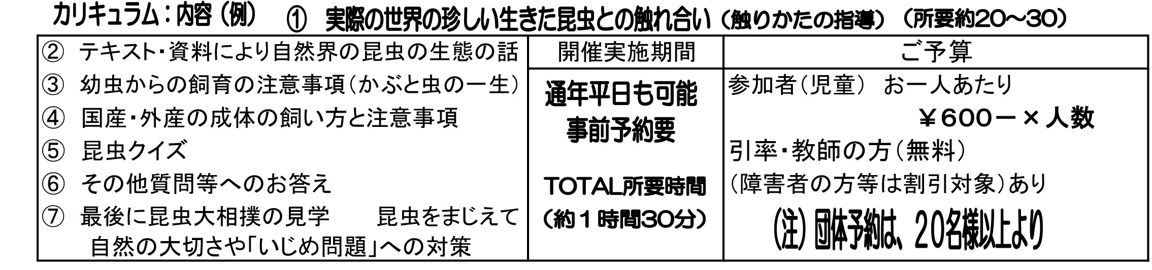 カリキュラム