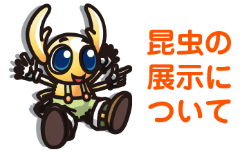 昆虫の展示